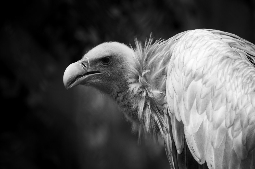 Photograph by Анна