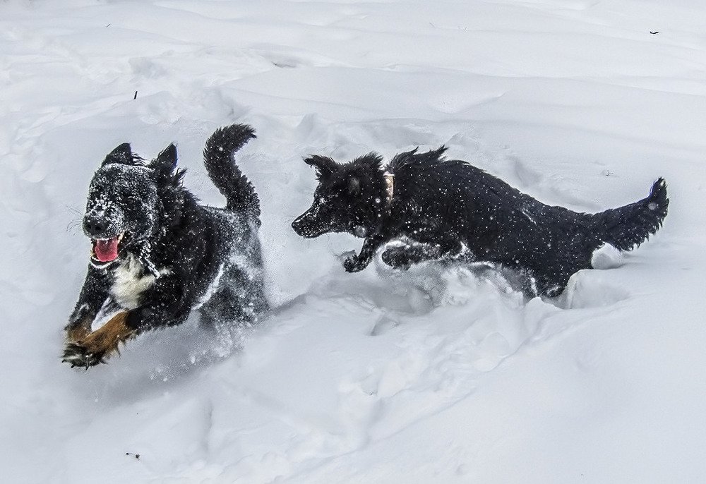 Photograph by Елена Белинская
