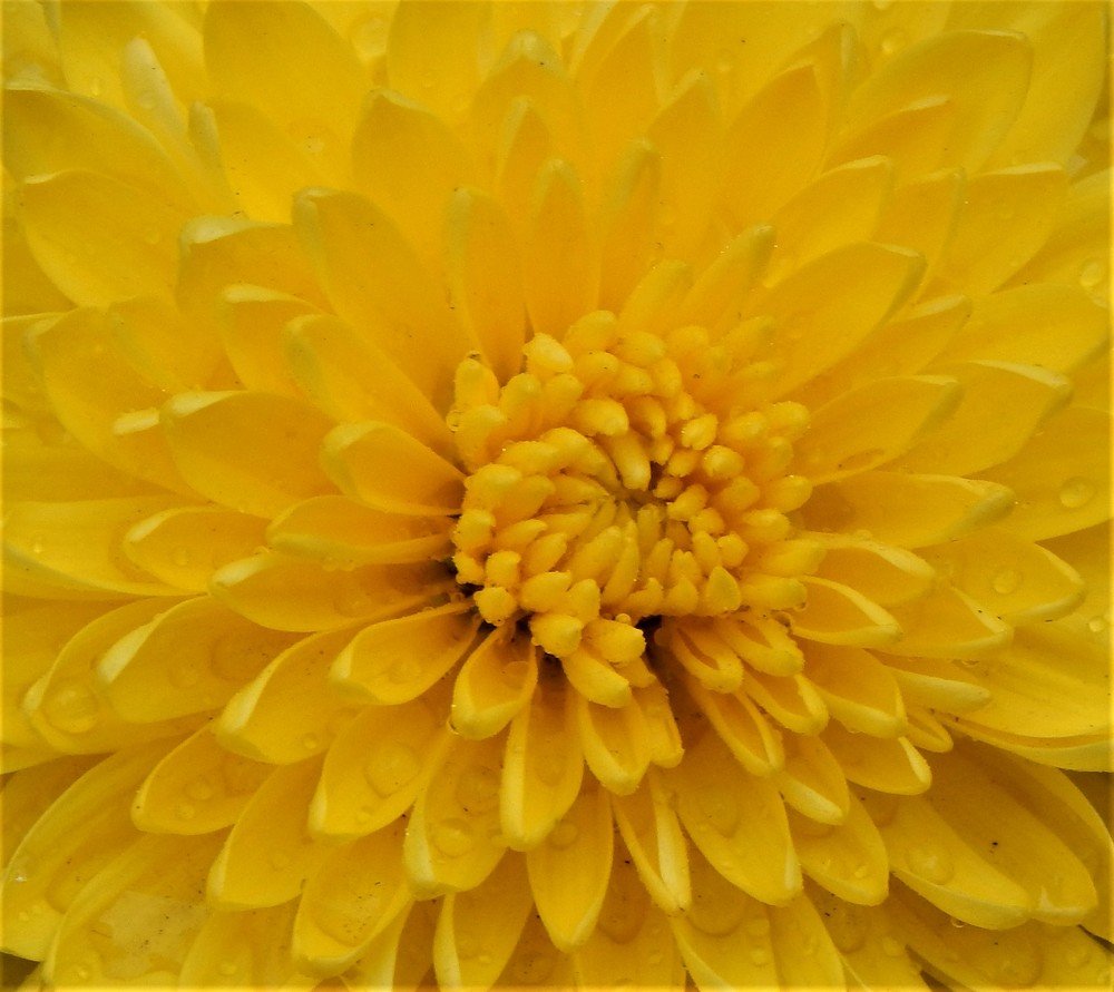 Photograph by Ирина Самойленко