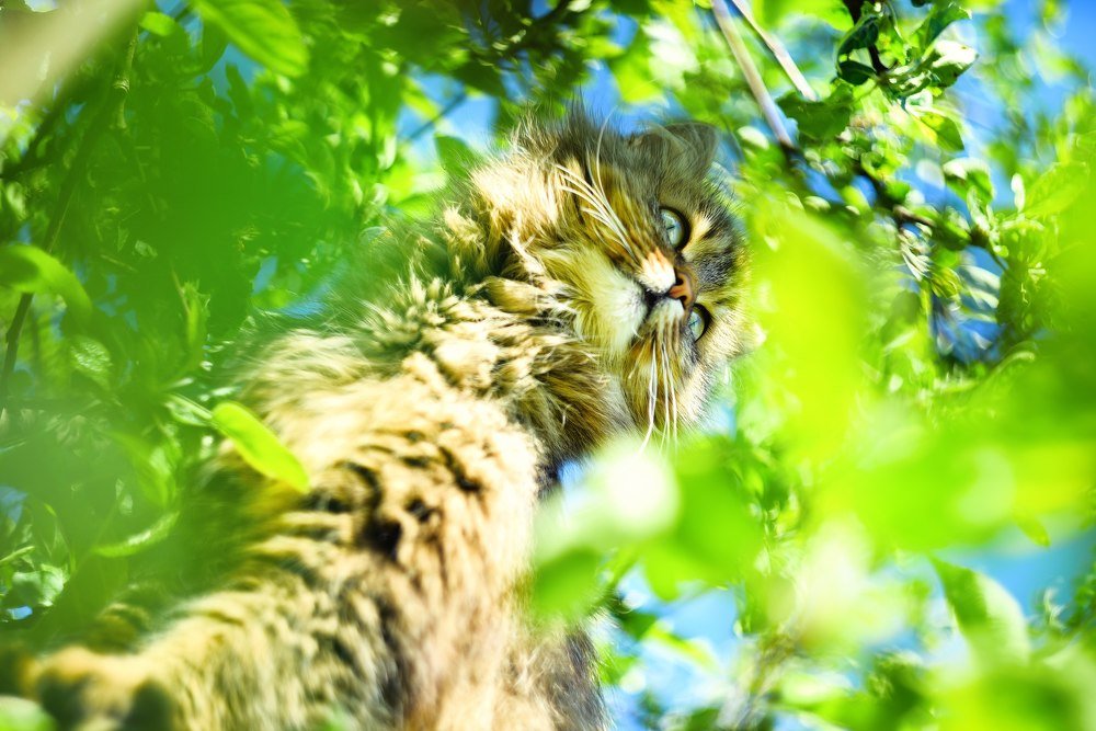 Photograph by Юлия Осипенко