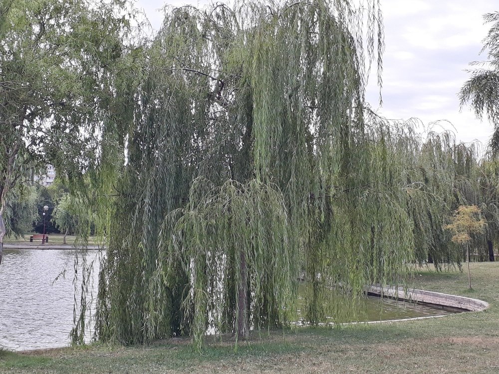 Photograph by Marius-Angel Gheorghe