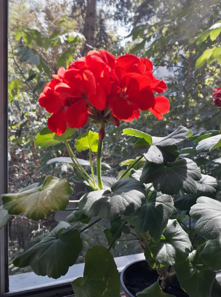 Photograph by Marius-Angel Gheorghe