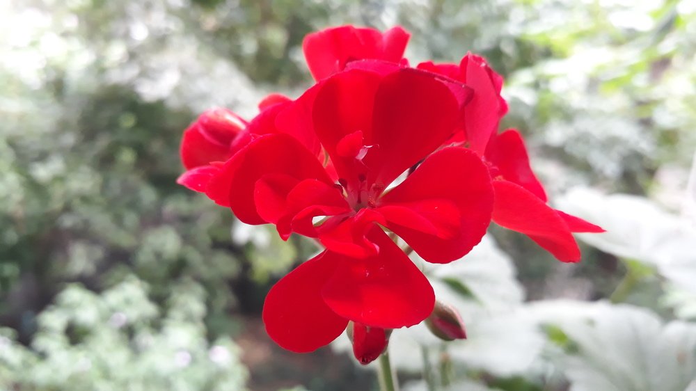 Photograph by Marius-Angel Gheorghe