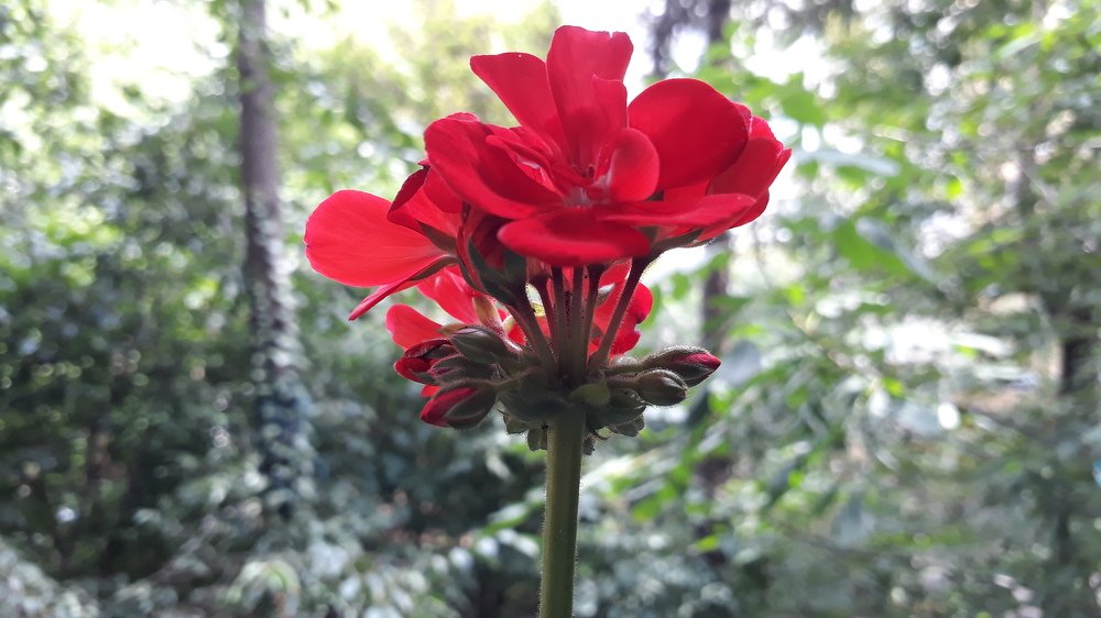 Photograph by Marius-Angel Gheorghe