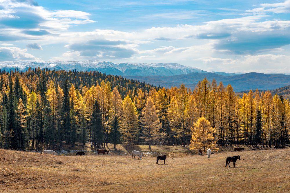 Photograph by Борис Леваков