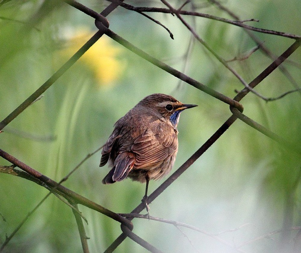 Ножка устала