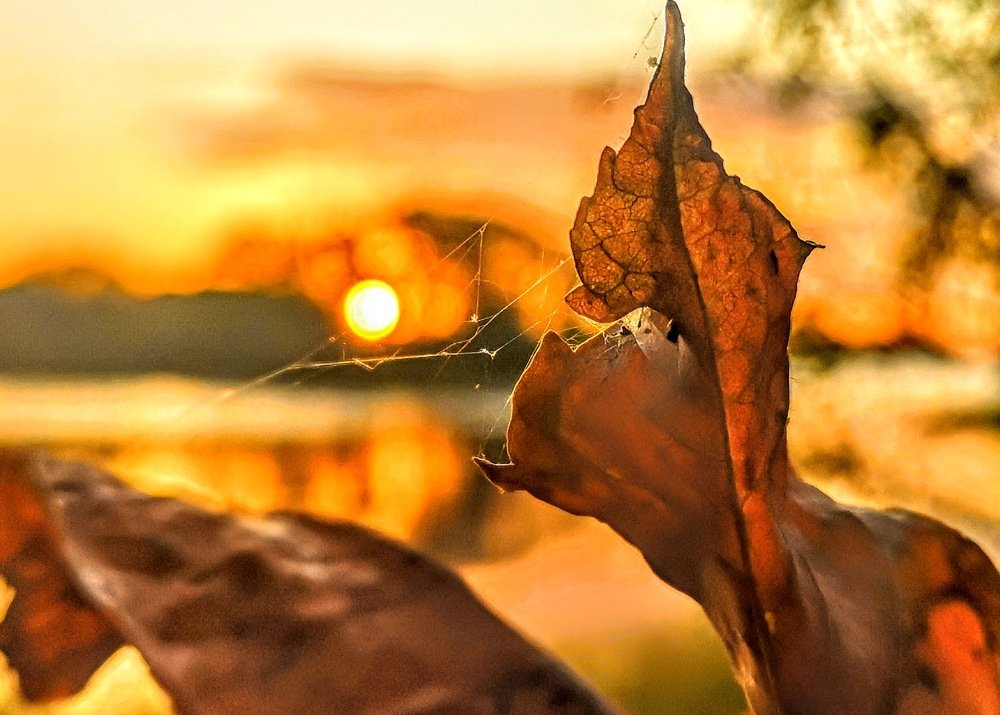 Photograph by 