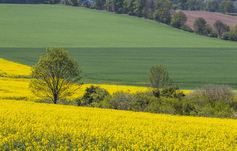 Фотография автора Филиппов Дмитрий
