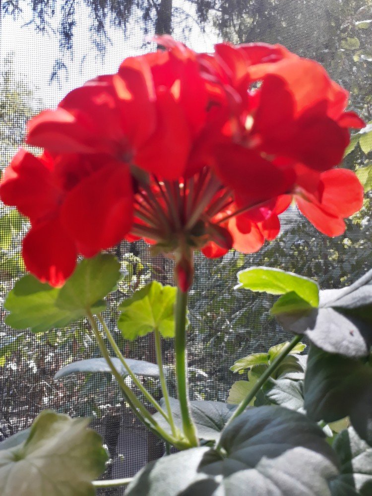 Photograph by Marius-Angel Gheorghe