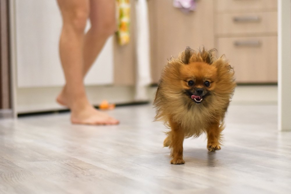 Photograph by Юлия Осипенко