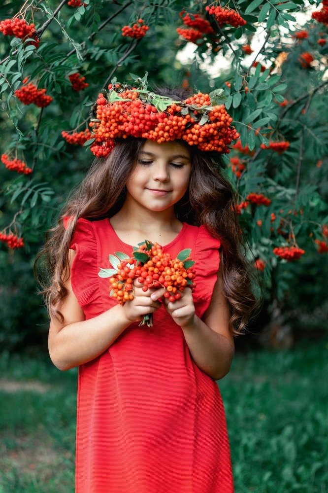 Рябиновая нимфа