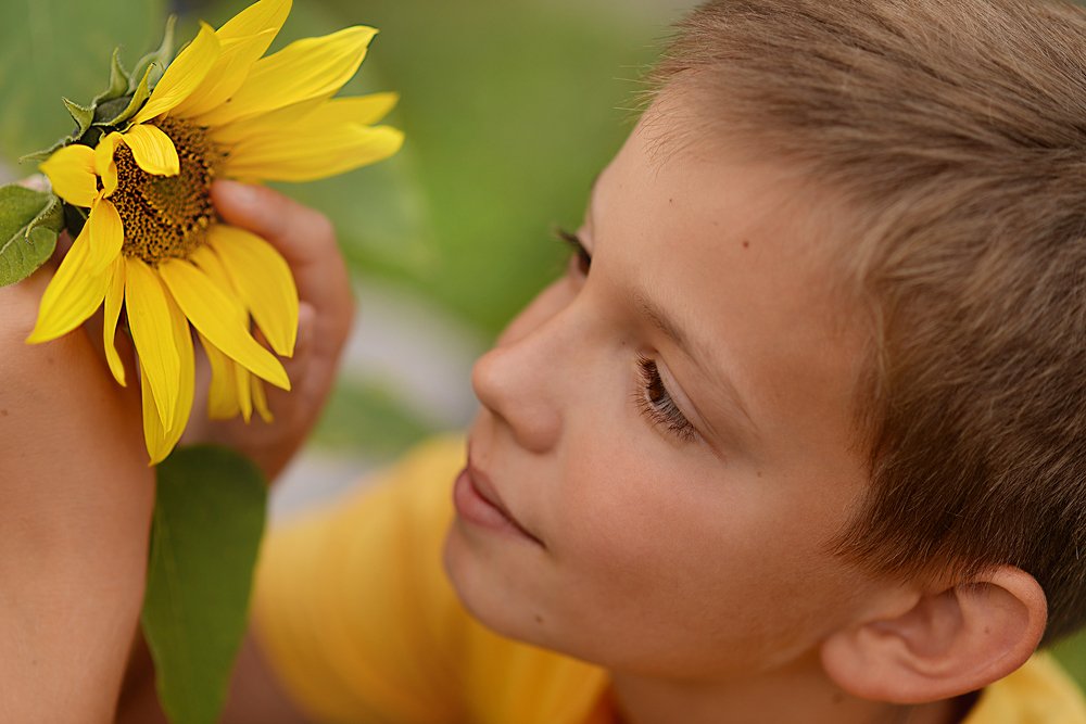 Солнышко в руках