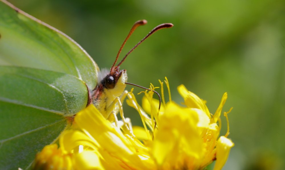Photograph by Виктор Романов