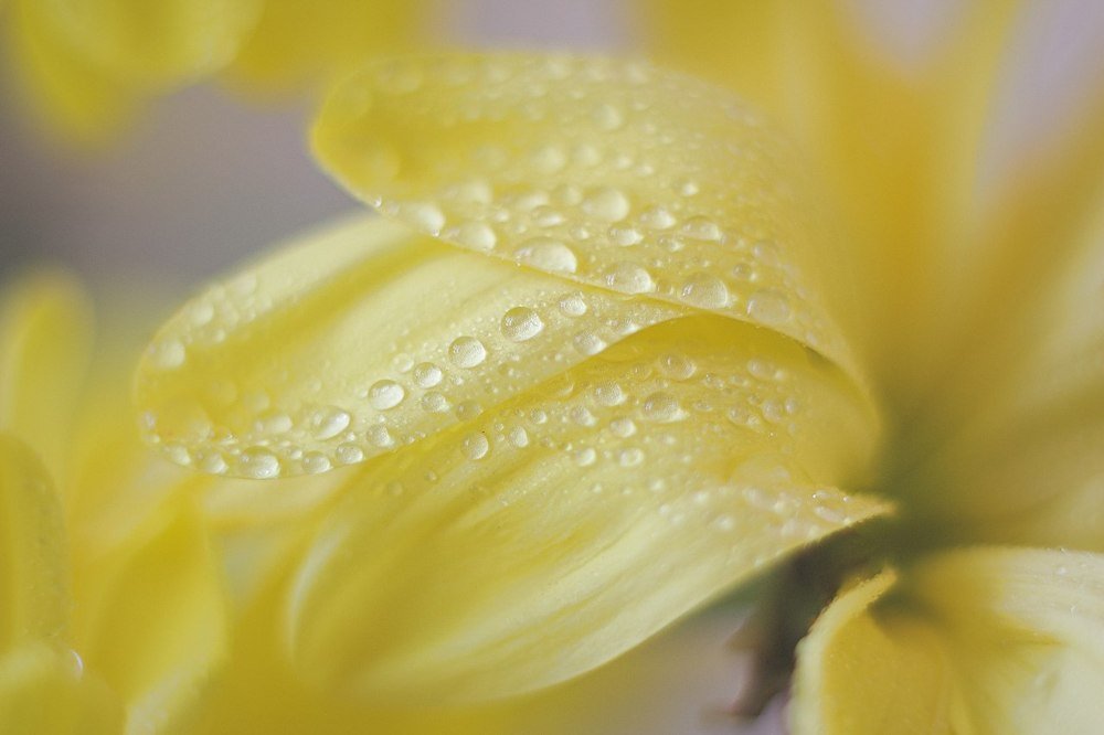 Photograph by Наталья Мищенко