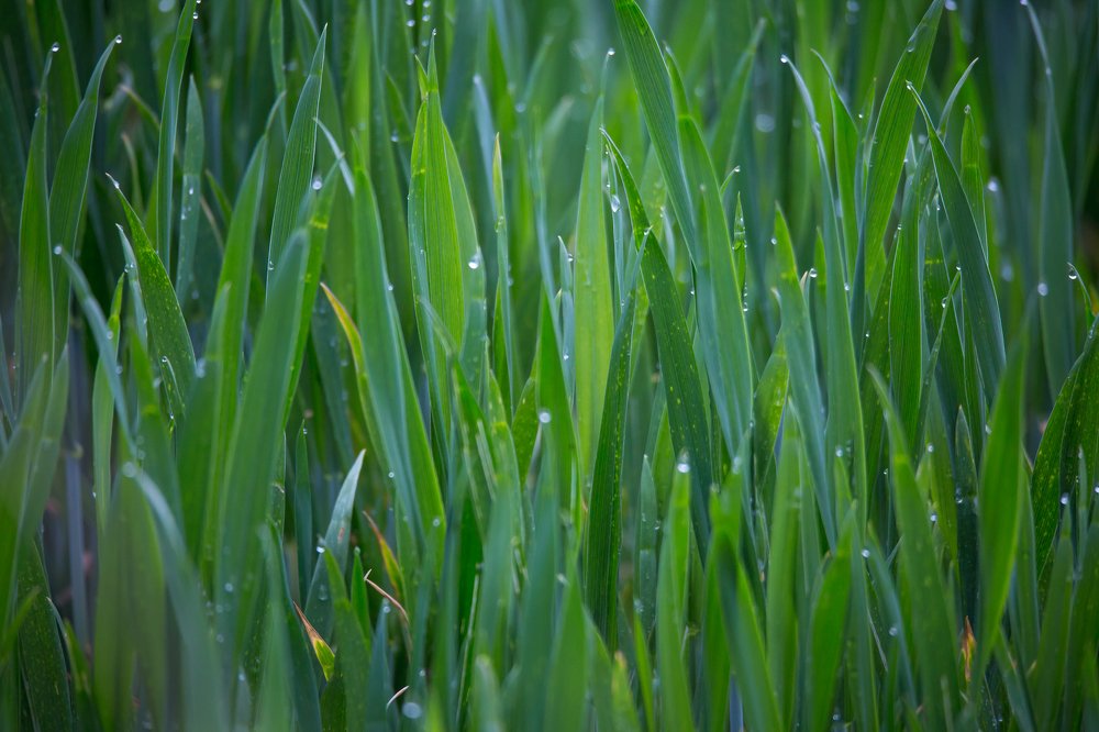 Photograph by Marcin Mirek