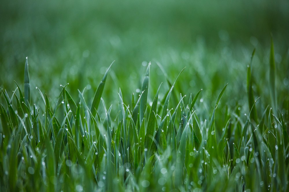 Photograph by Marcin Mirek