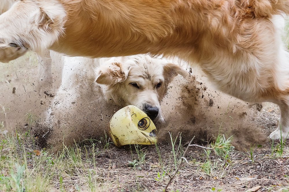 Photograph by Sergei Nehhožin