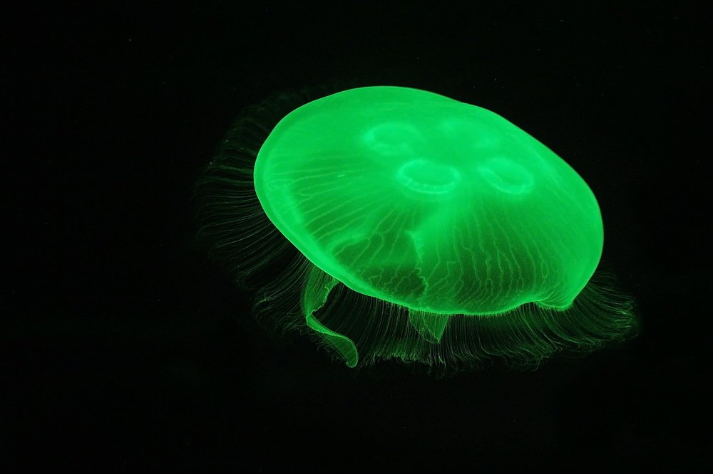 Photograph by Александр Столяров