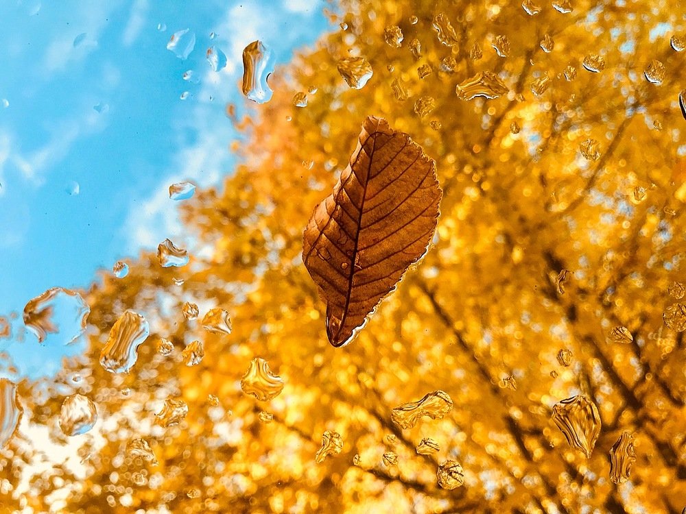 Photograph by Olga Thomas