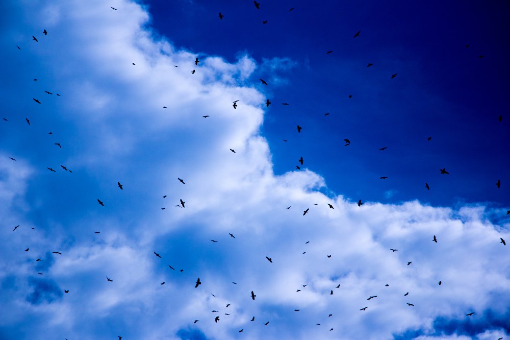 Photograph by Максим Буц