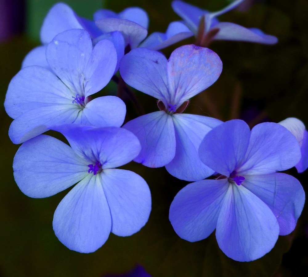 Photograph by Karina Elena Bergagna