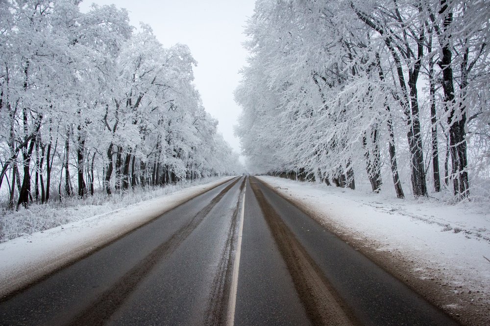 Photograph by Максим Буц