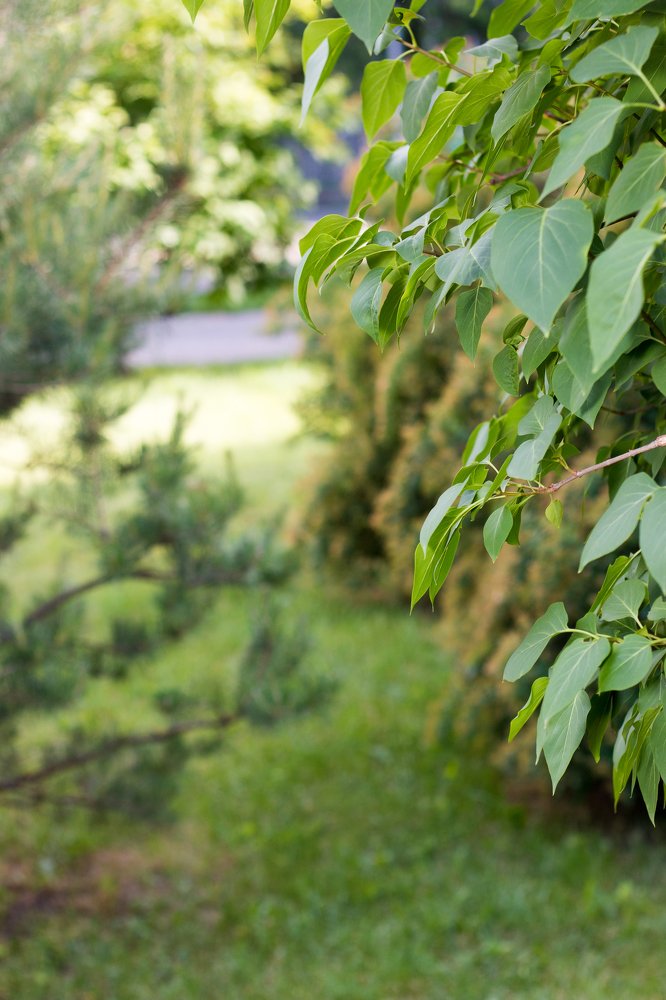 Photograph by Максим Буц