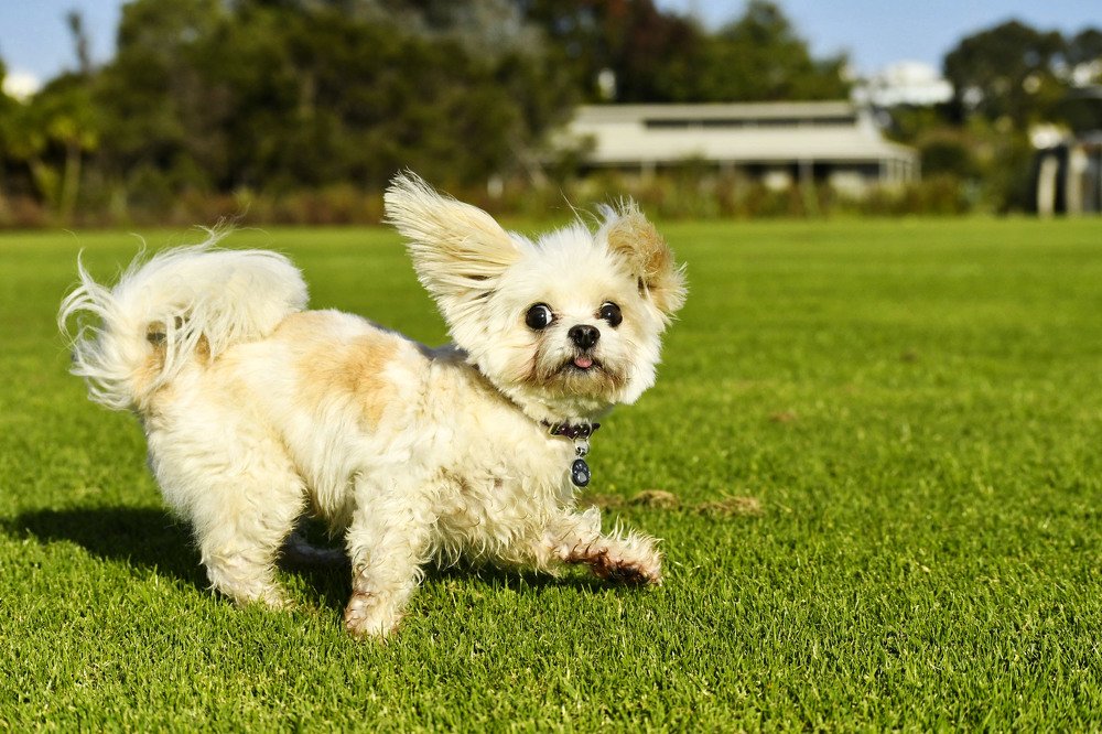 Photograph by Kelly Vivian