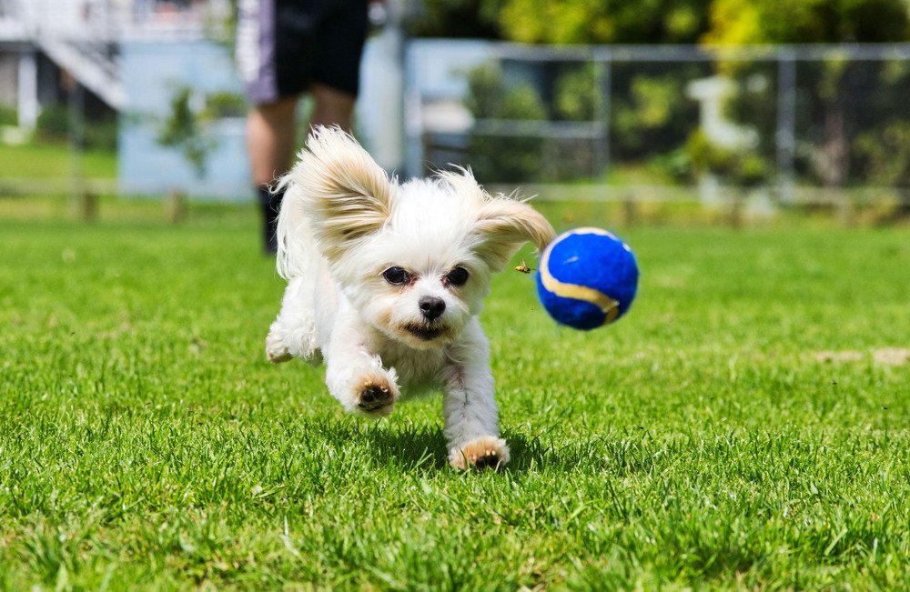 Photograph by Kelly Vivian