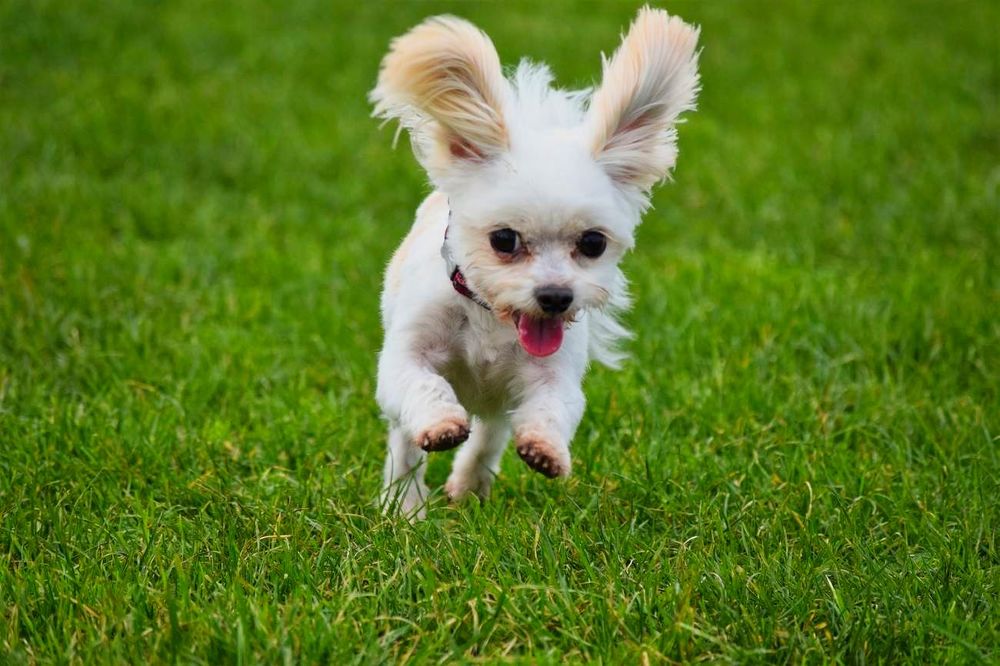 Photograph by Kelly Vivian