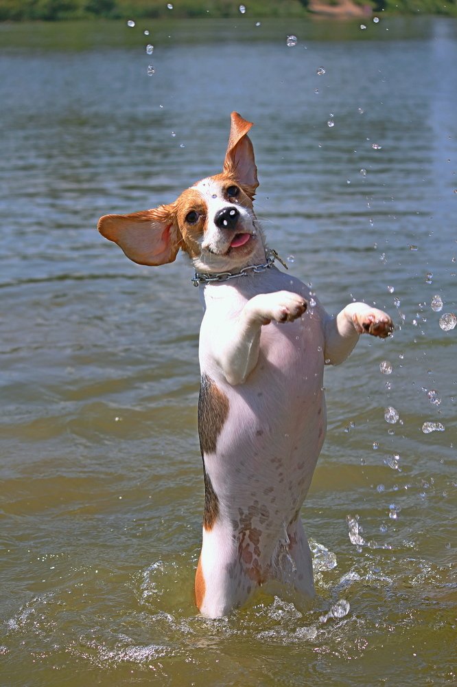 Photograph by Олег