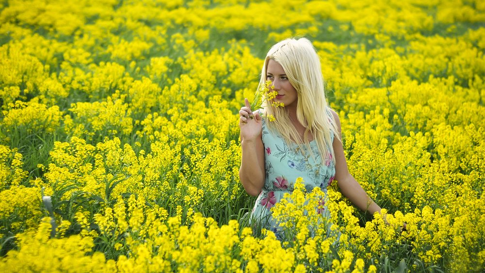 Среди весенних цветов