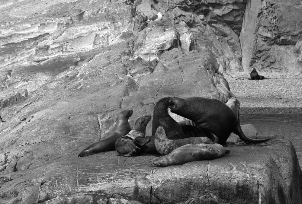 Photograph by Мария Демченко