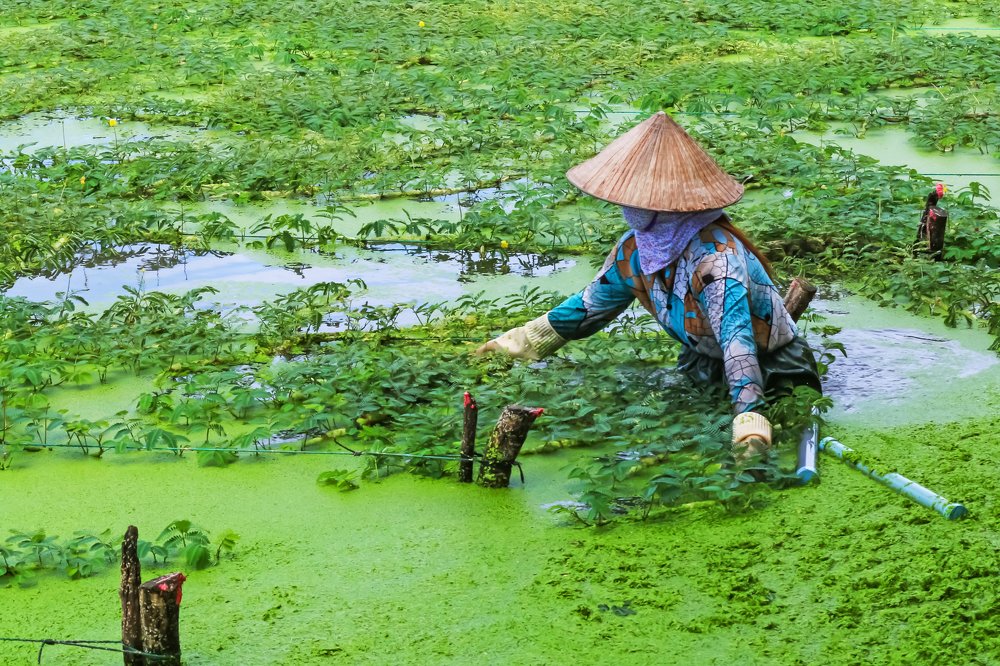Фотография автора NeCoTi ChonTin