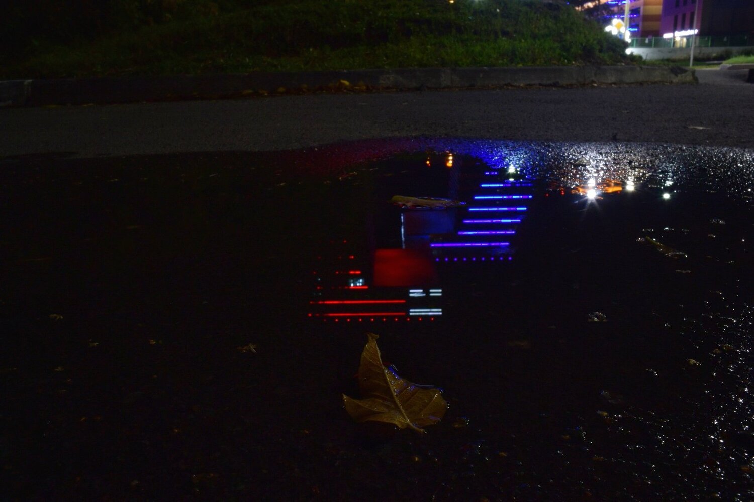 Photo #3632857