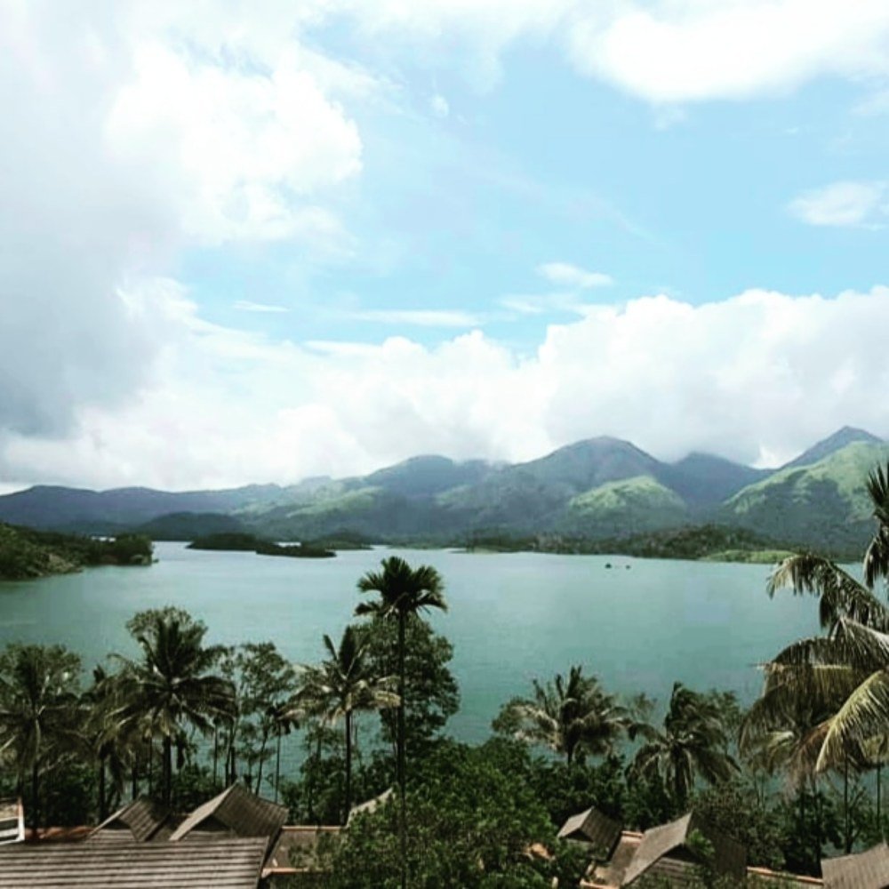 Blissful view