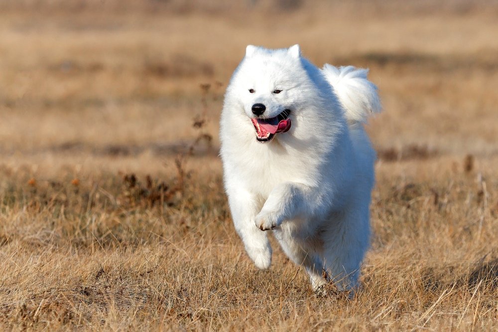 Photograph by Владимир Салапонов