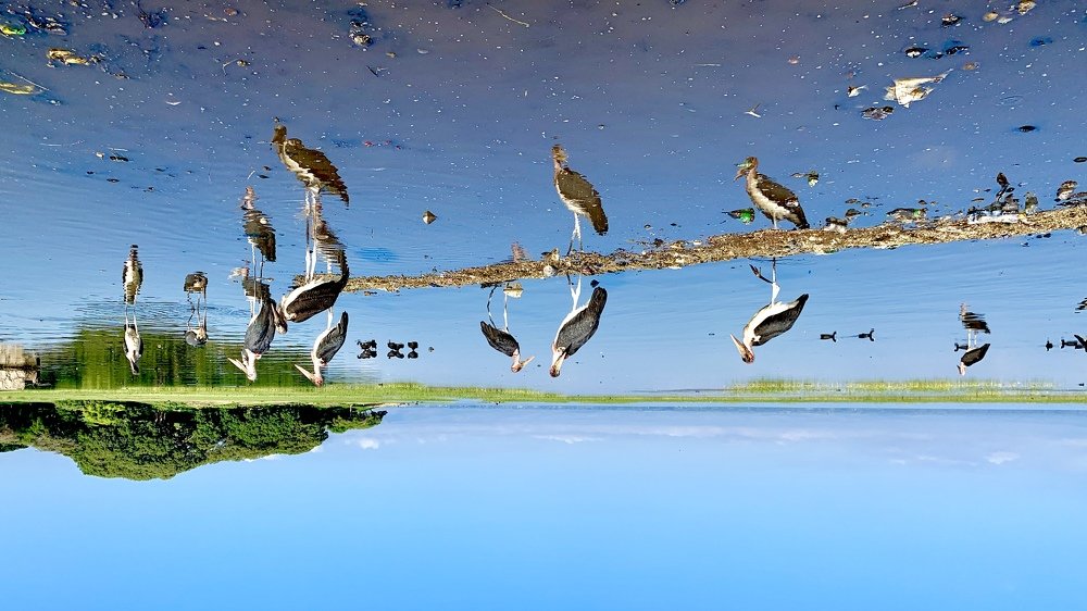 Photograph by Hilena Tafesse Ayalew