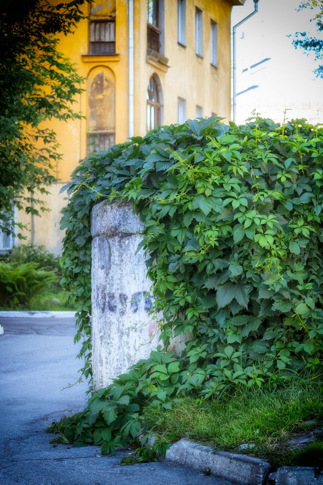 Photograph by Александр Лунин