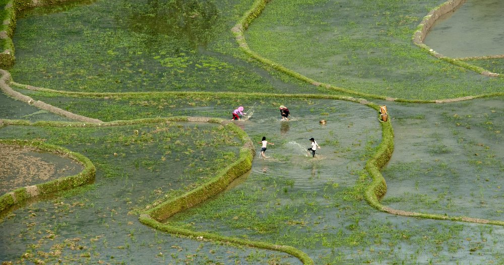 Photograph by Hà Thạnh