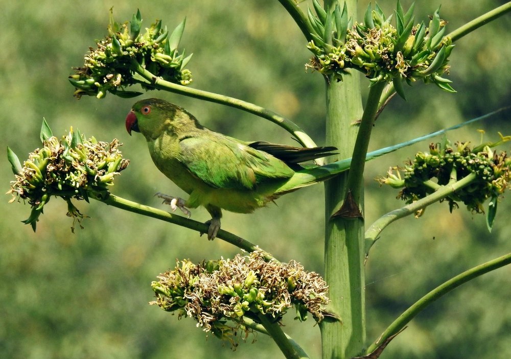 Photograph by Jay Sharan