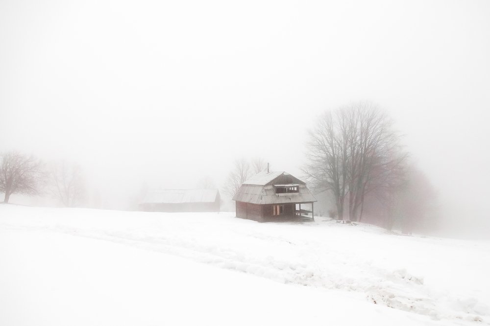 Фотография автора Cornelia Ghergut