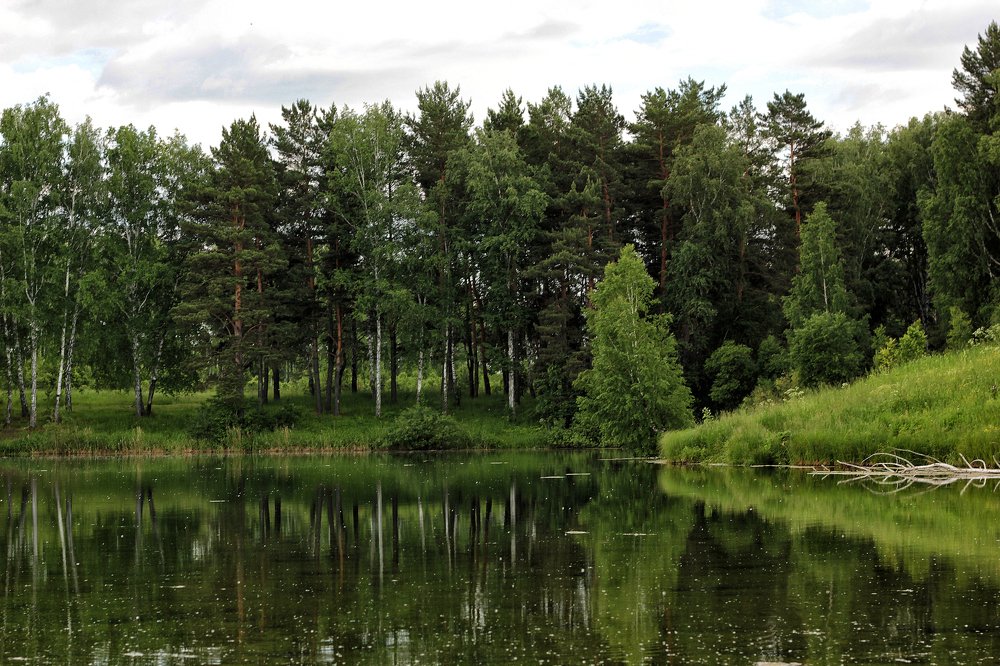 Photograph by Надежда Тарасенко