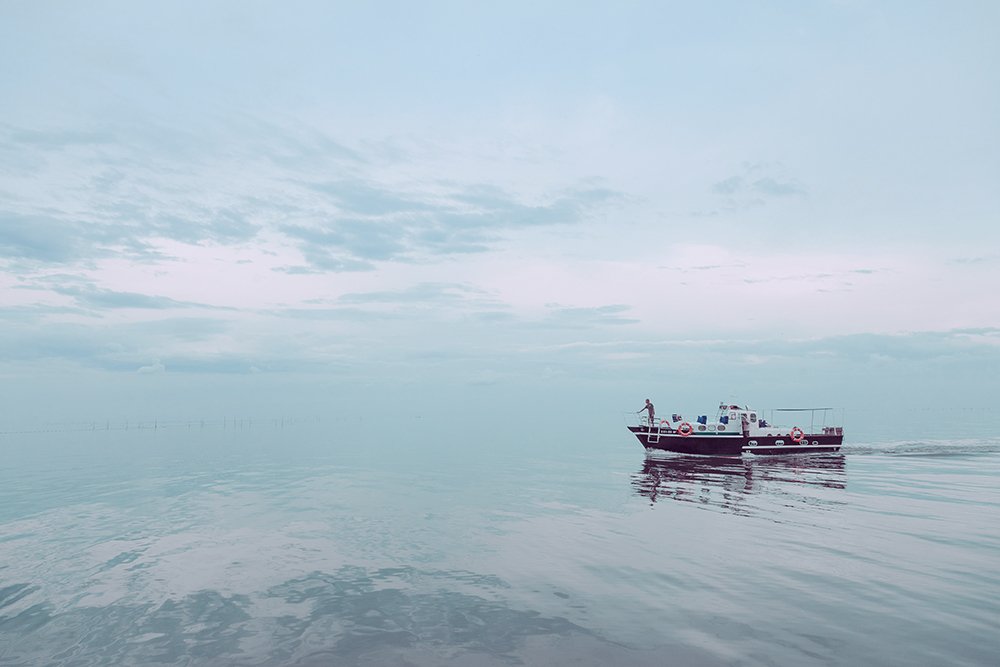 Photograph by Дмитрий Носов