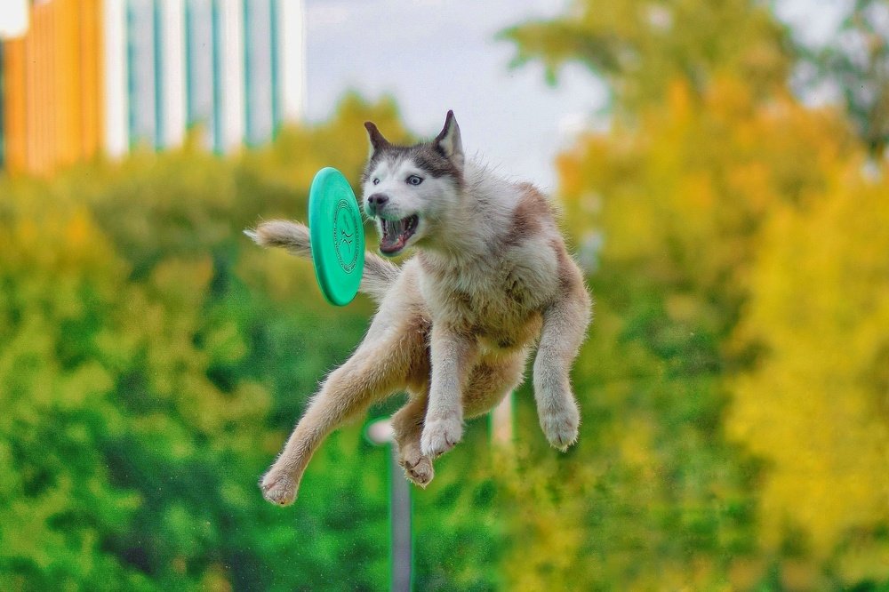 Photograph by Мария Яропольская