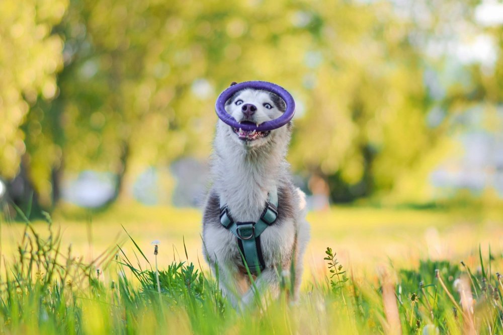 Фотография автора Мария Яропольская