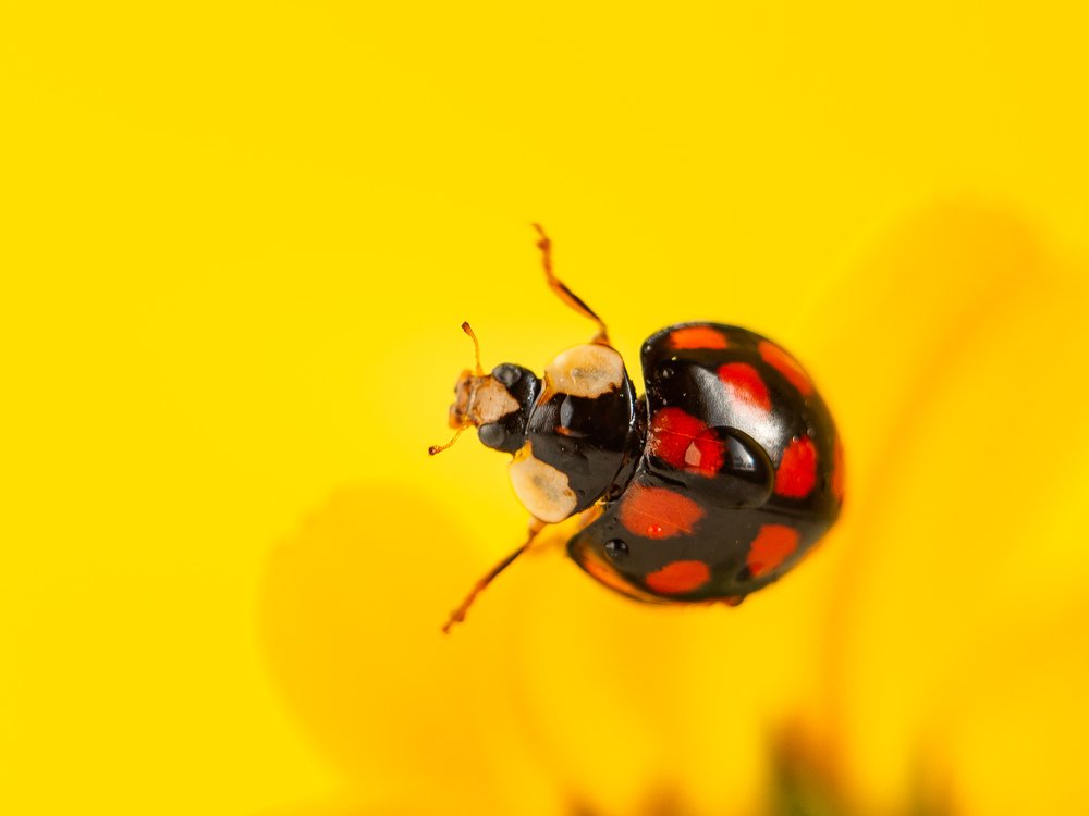 Photograph by Шихалеева 