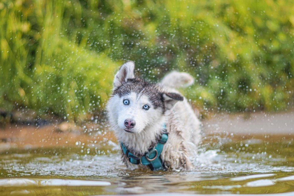 Фотография автора Мария Яропольская