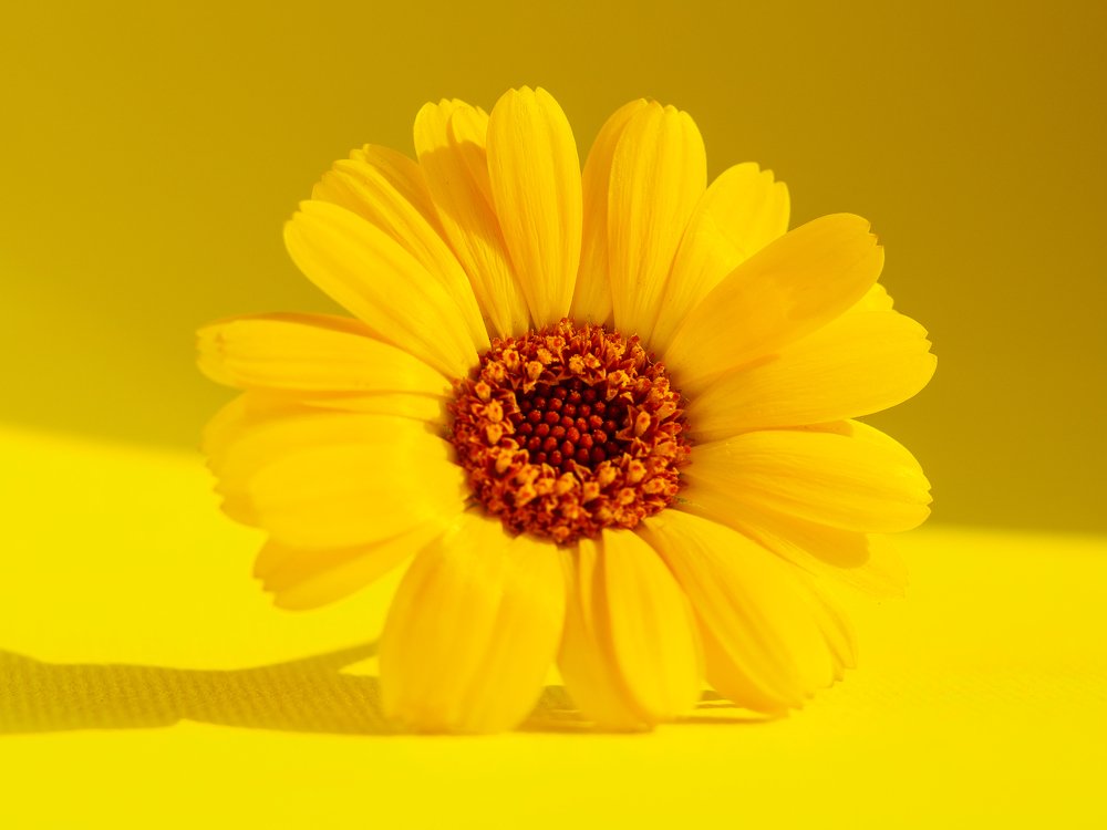 Photograph by Шихалеева 