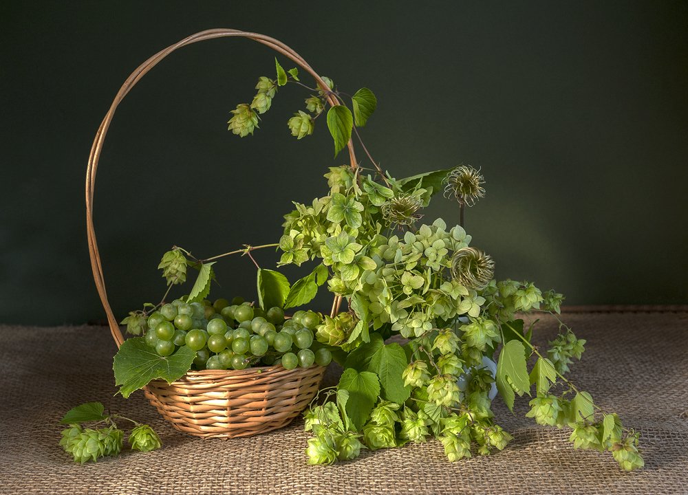 Photograph by Ольга Дядченко